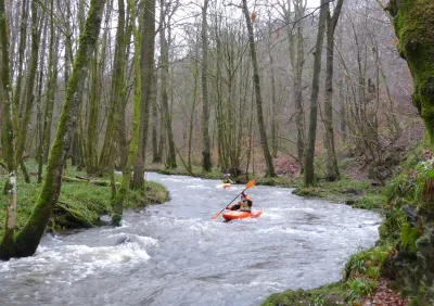 Dans la foret.